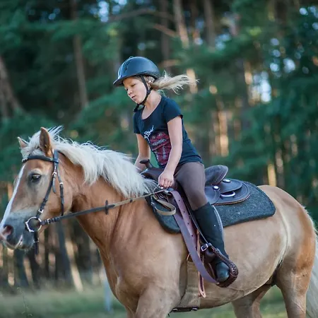 Traumhaff Denkmalgeschuetzter Amalienhof Sauna, Offener Kamin, Hund