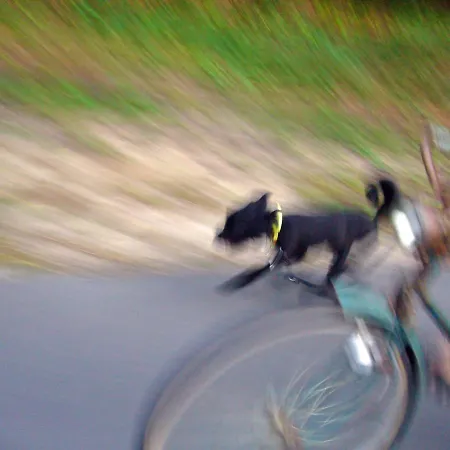 Traumhaff Denkmalgeschuetzter Amalienhof Sauna, Offener Kamin, Hund *