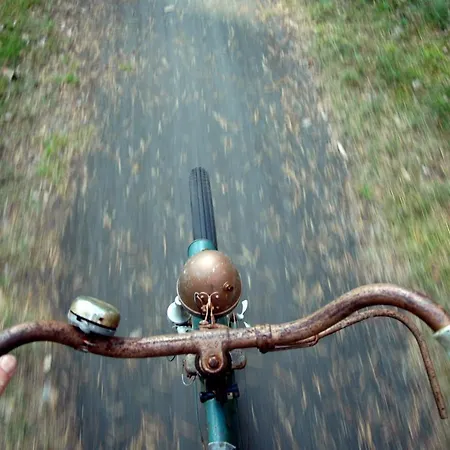 Hébergement de vacances Traumhaff Denkmalgeschuetzter Amalienhof Sauna, Offener Kamin, Hund Ahlbeck (Usedom)