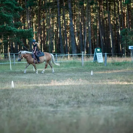 Traumhaff Denkmalgeschuetzter Amalienhof Sauna, Offener Kamin, Hund Hébergement de vacances *